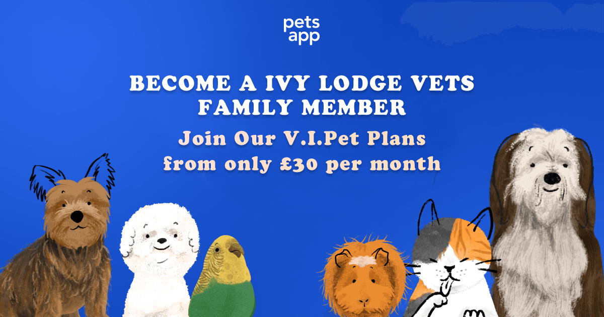 PETS-APP-BANNER