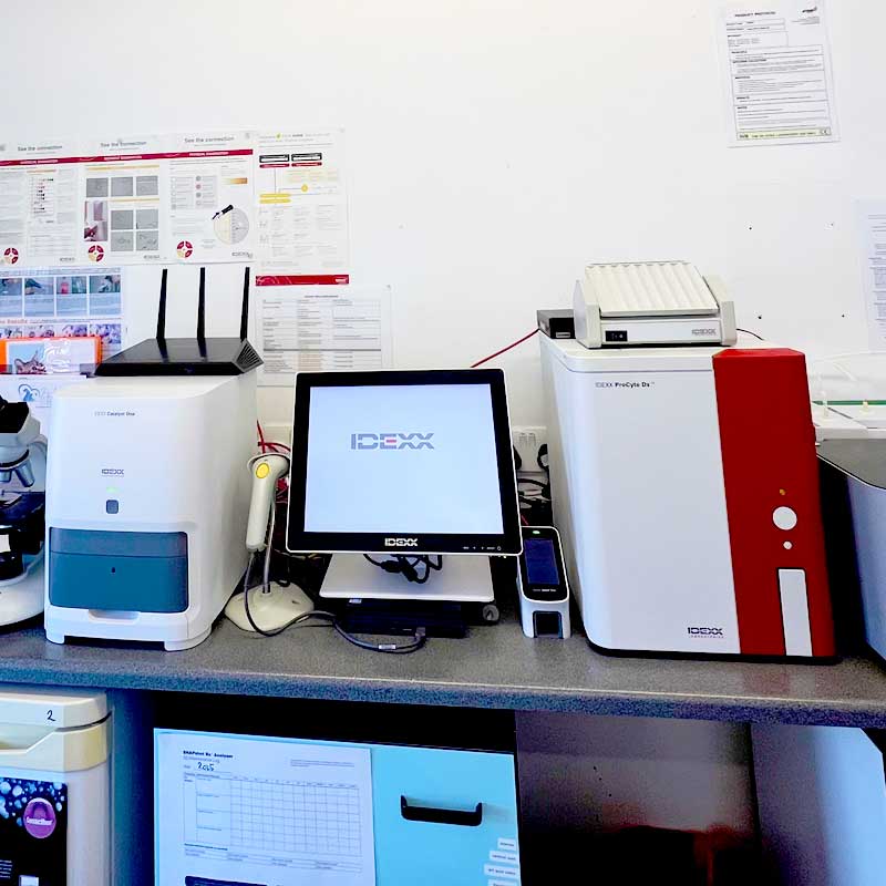 Pet Diagnostics in Essex
