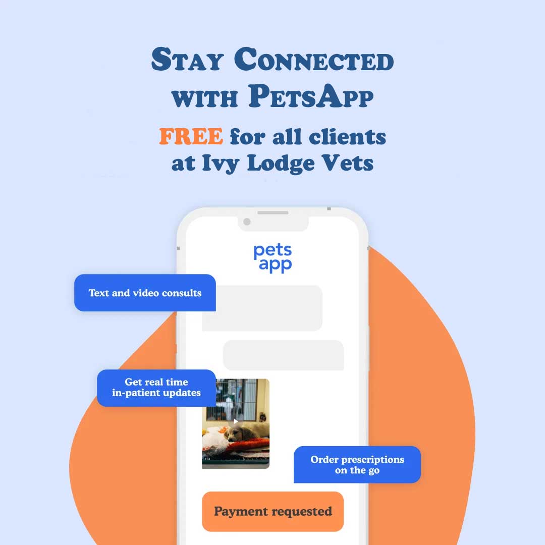 petsapp-home-banner