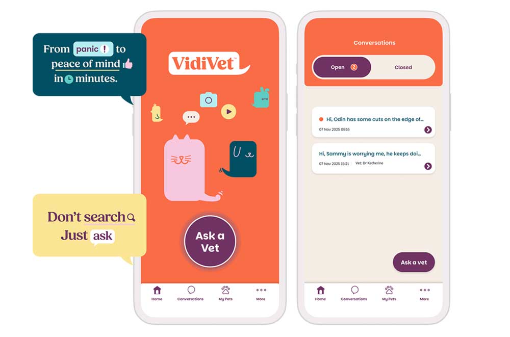 vidivet-ivy-lodge-vets-essex-dog-2