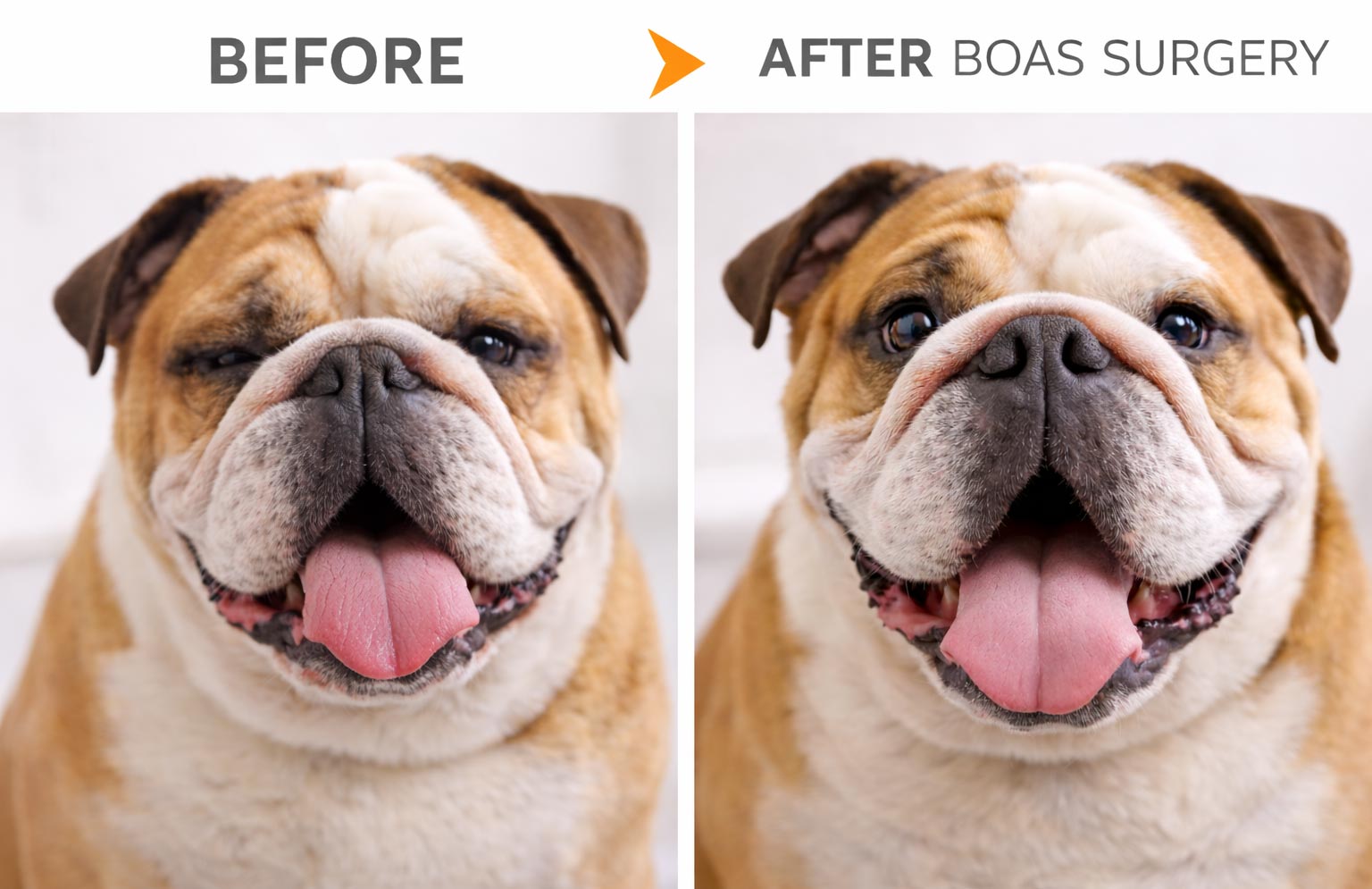 boas-before-and-after
