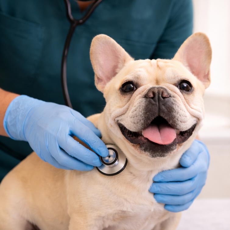 boas-treatment-essex