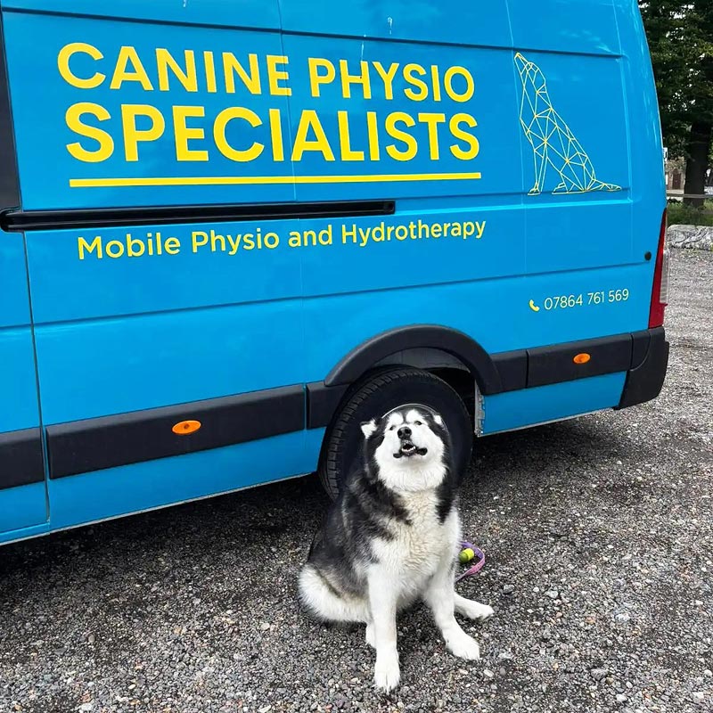 canine-physio-essex-mobile-van